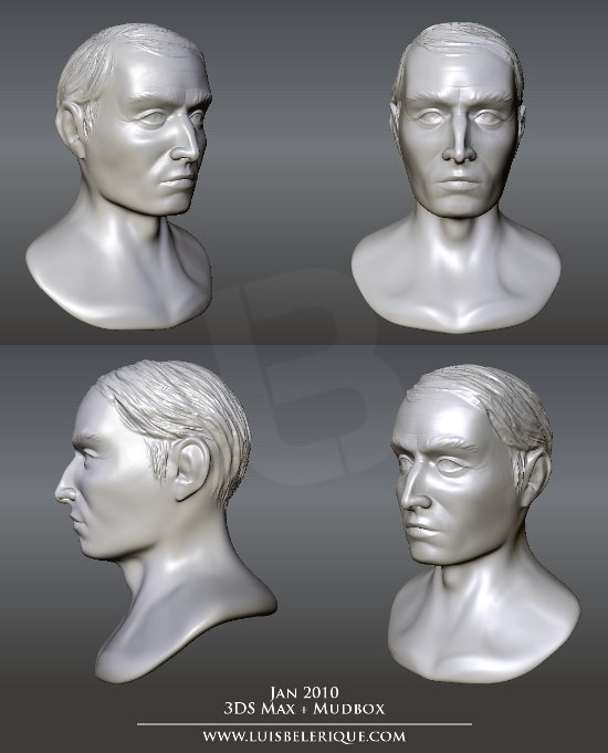 bust 01_2010